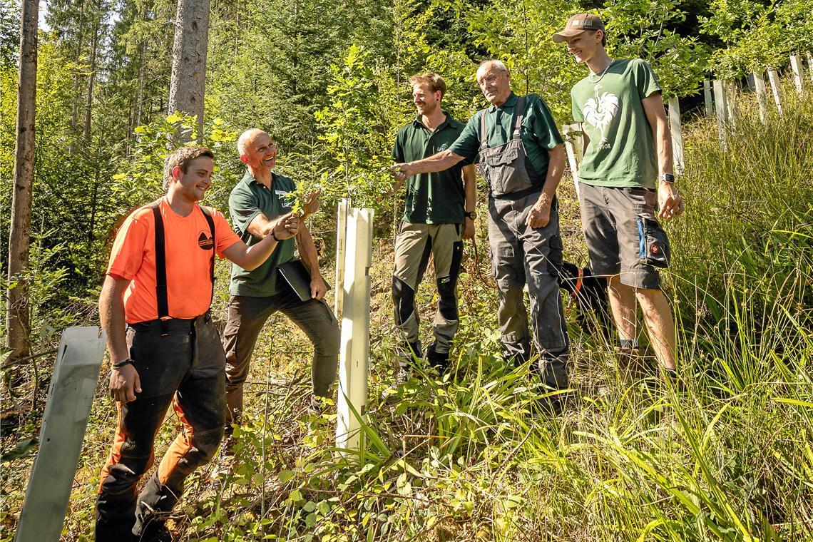 Tobias Wieland (von links), Jürgen Baumann, Paul Bek, Rudolf Wieland und John Wieland freuen sich darüber, dass es auf dem Waldstück wieder wächst und gedeiht. Foto: Alexander Becher 
