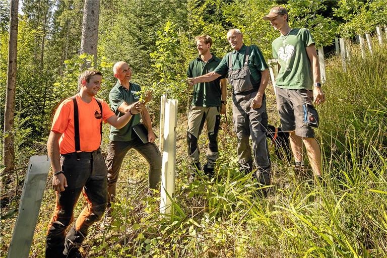 Tobias Wieland (von links), Jürgen Baumann, Paul Bek, Rudolf Wieland und John Wieland freuen sich darüber, dass es auf dem Waldstück wieder wächst und gedeiht. Foto: Alexander Becher 