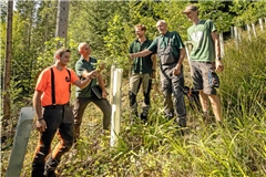 Tobias Wieland (von links), Jürgen Baumann, Paul Bek, Rudolf Wieland und John Wieland freuen sich darüber, dass es auf dem Waldstück wieder wächst und gedeiht. Foto: Alexander Becher 
