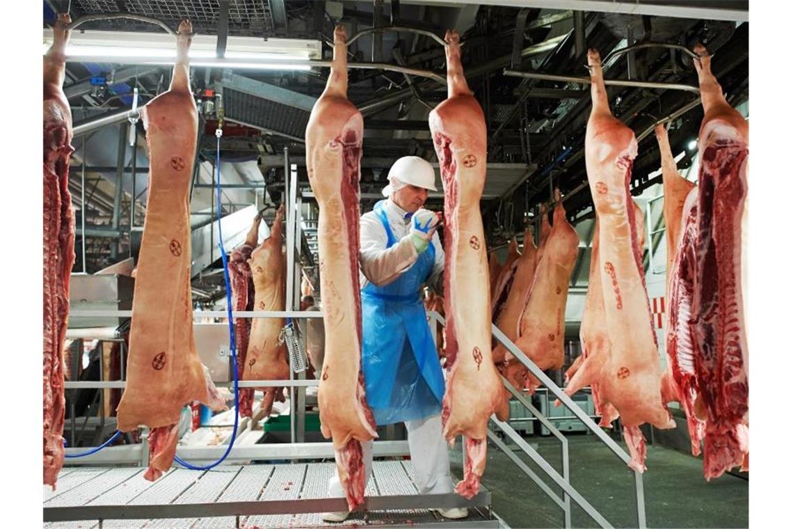 Tönnies schlachtet wieder im Stammwerk Tönnies-Mitarbeiter in Rheda-Wiedenbrück dürfen wieder schlachten. Foto: picture alliance / dpa