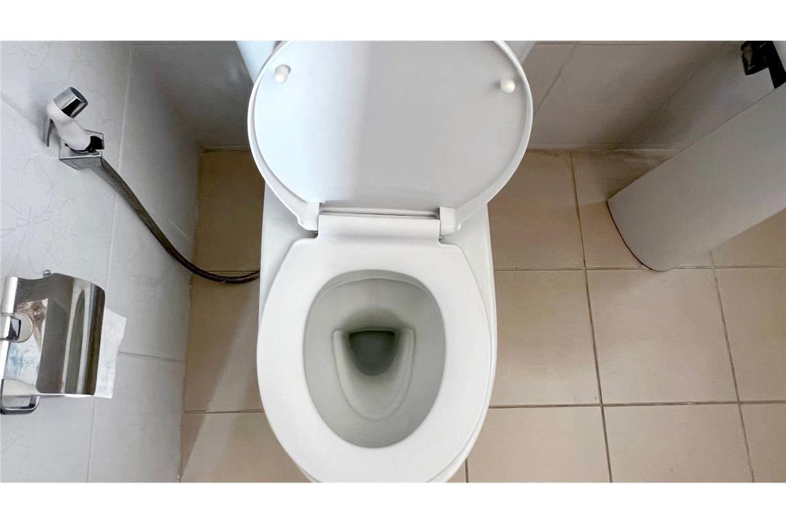 Toiletten sind für viele Menschen das Normalste von der Welt - nicht aber für mehr als drei Milliarden Menschen, die noch immer keinen Zugang zu Sanitäranlagen haben. (Archivbild)