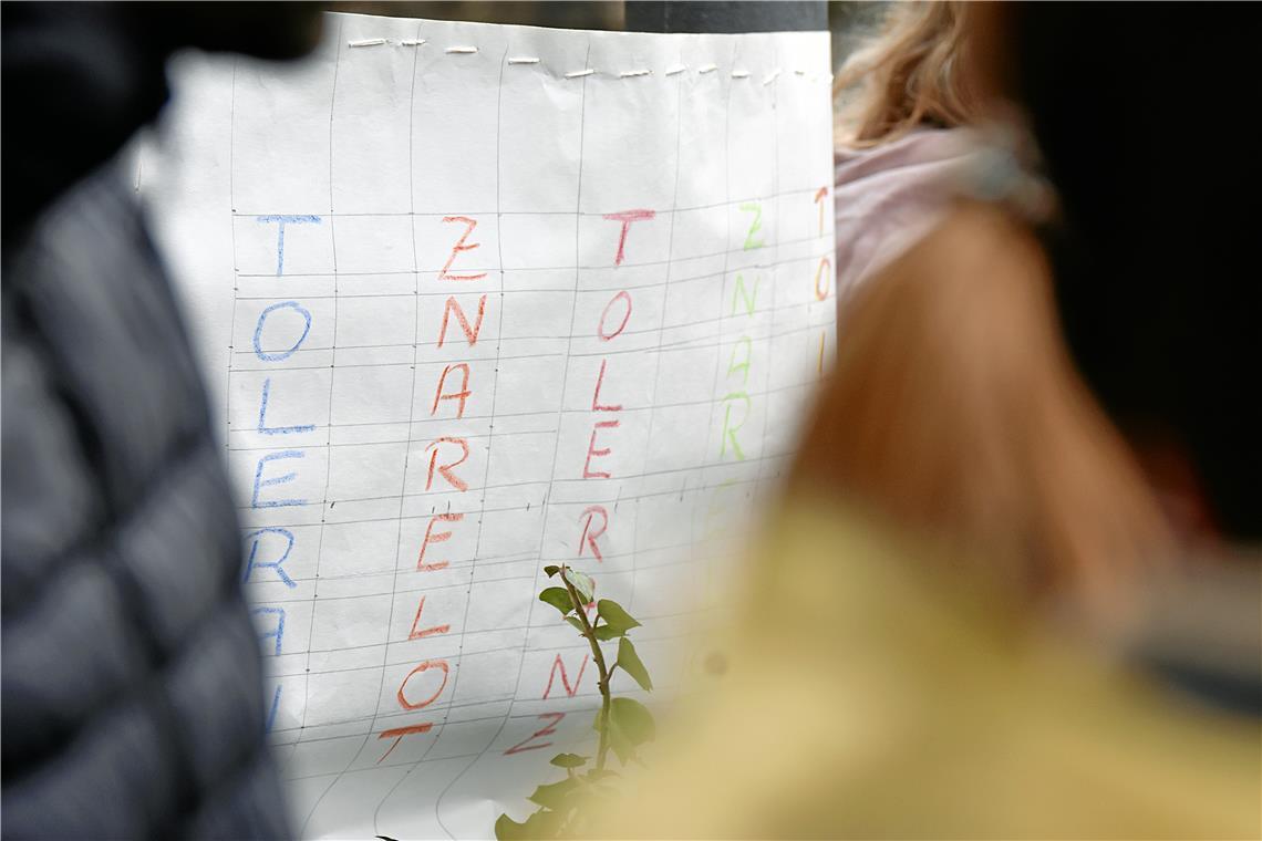 TOLERANZ wird gefordert. Demonstration und Kundgebung gegen Rechtsextremismus un...