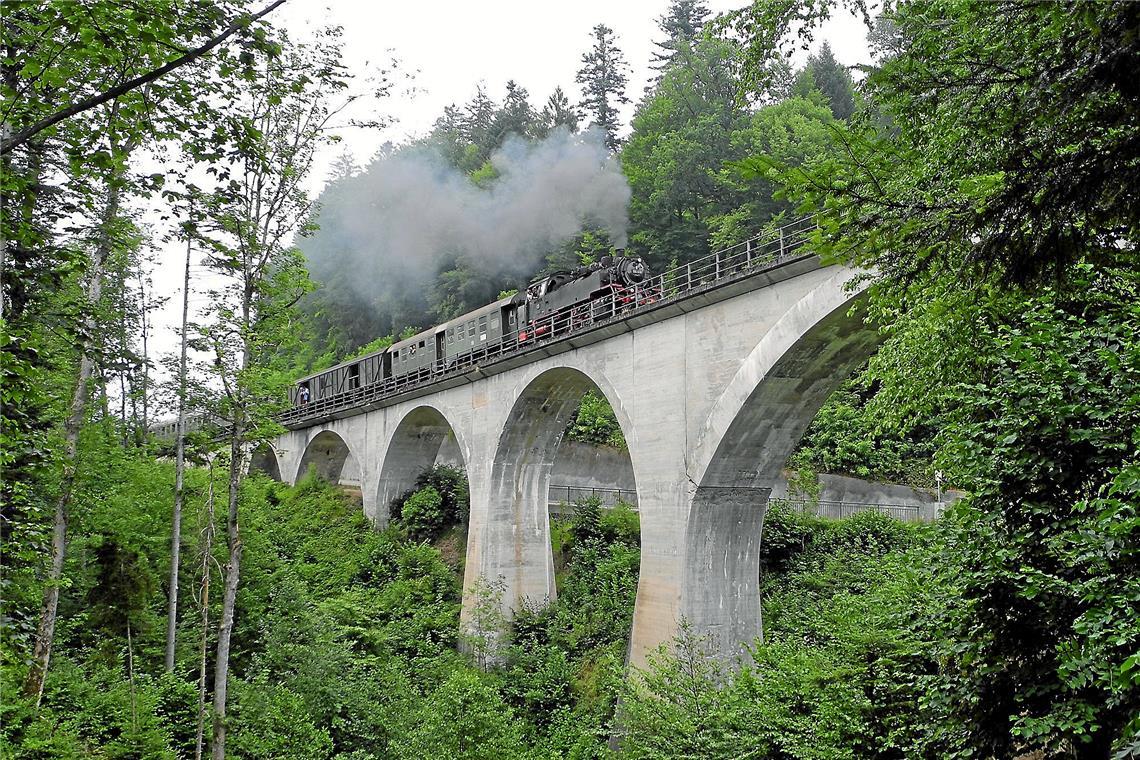 Toll fürs Foto ist, wenn die Waldbahn gerade über das Laufenmühleviadukt tuckert. Foto: Stadt Welzheim