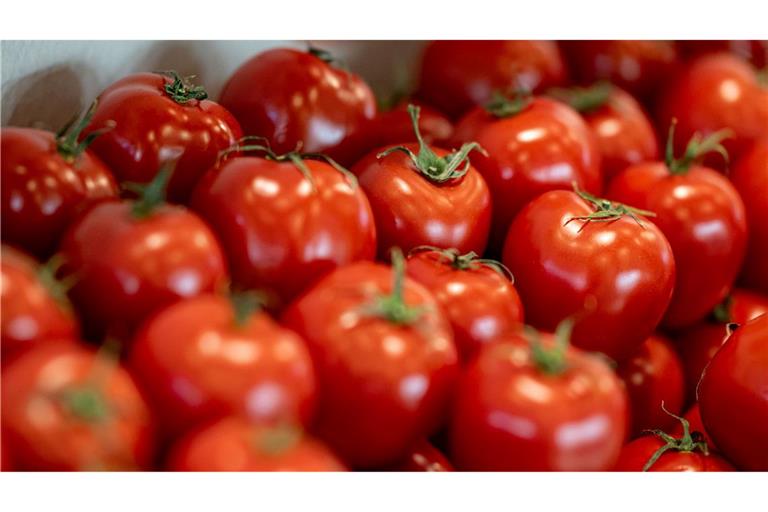 Tomaten sind nach Angaben des Bundesinformationszentrums Landwirtschaft das beliebteste Gemüse in Deutschland.