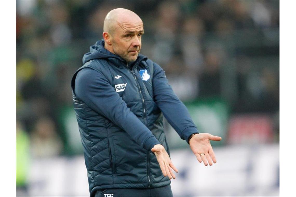 Trainer Alfred Schreuder von Hoffenheim gestikuliert. Foto: Roland Weihrauch/dpa/Archivbild