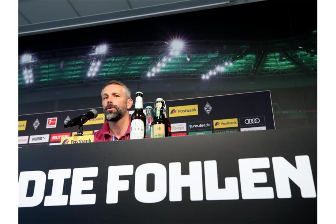 Rose soll Borussia Mönchengladbach erneuern