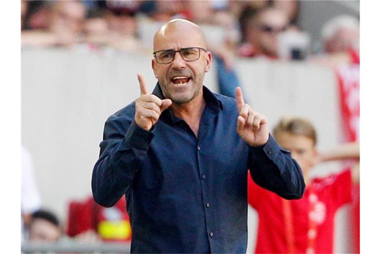 Trainer Peter Bosz leistet gute Arbeit in Leverkusen. Foto: Roland Weihrauch