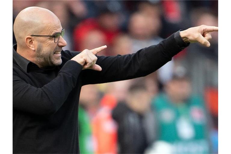 Trainer Peter Bosz verspricht: „Bayer Leverkusen ist immer eine Garantie für Tore.“. Foto: Federico Gambarini/dpa