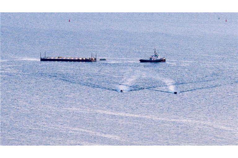 Transport mit ungewissem Ausgang: Wal wird Richtung Nordsee gebracht