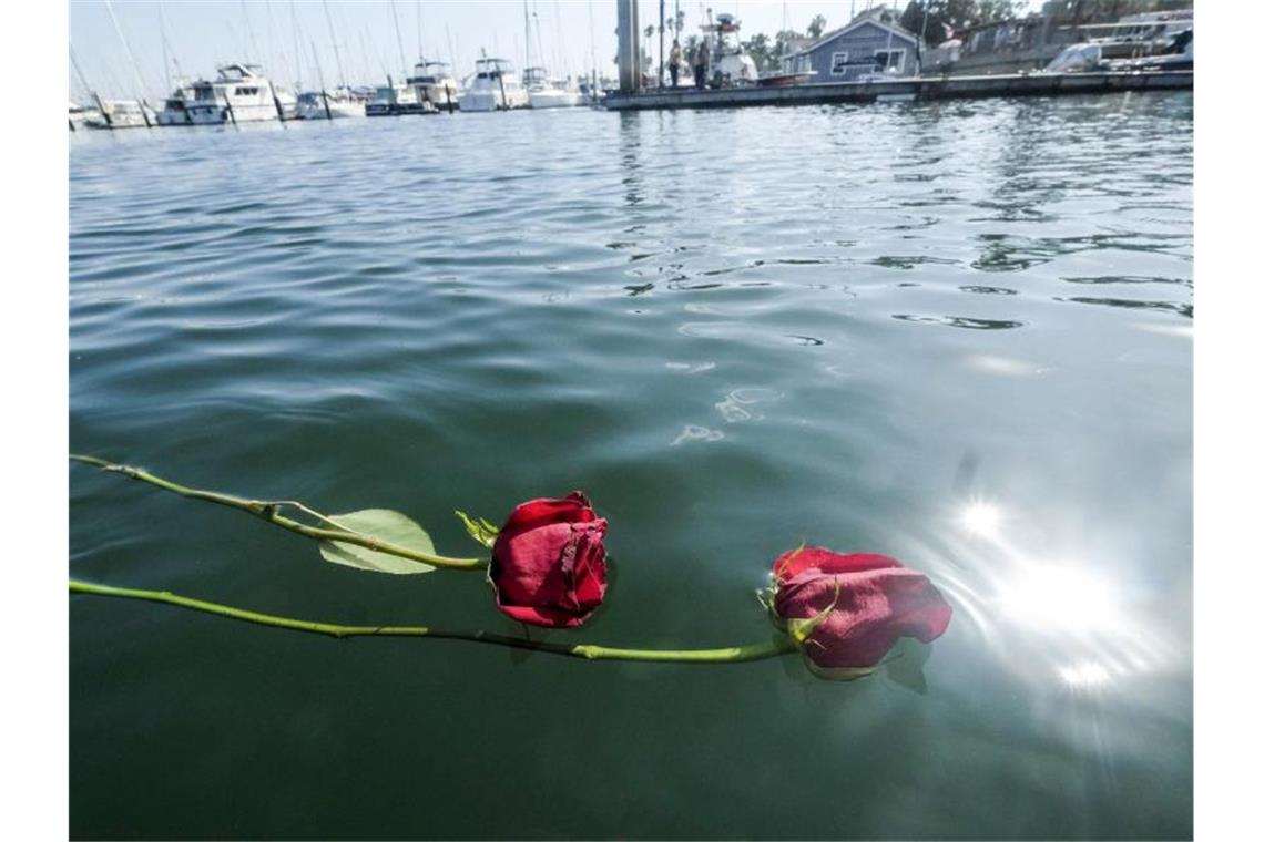 Trauer um die Toten des Bootsungücks: Zwei rote Rosen schwimmen auf dem Wasser im Hafen von Santa Barbara. Foto: Ringo H.W. Chiu/AP