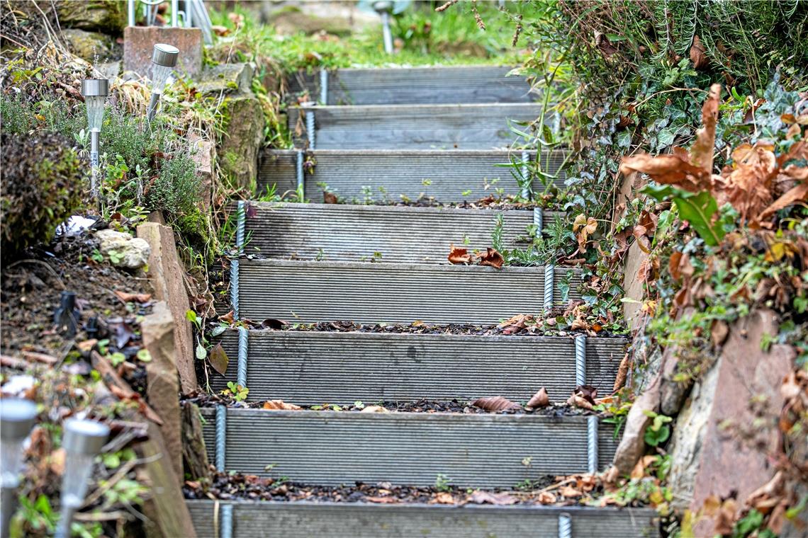 Treppe mal anders - zu Besuch bei Elisabeth Vogelmann im Garten