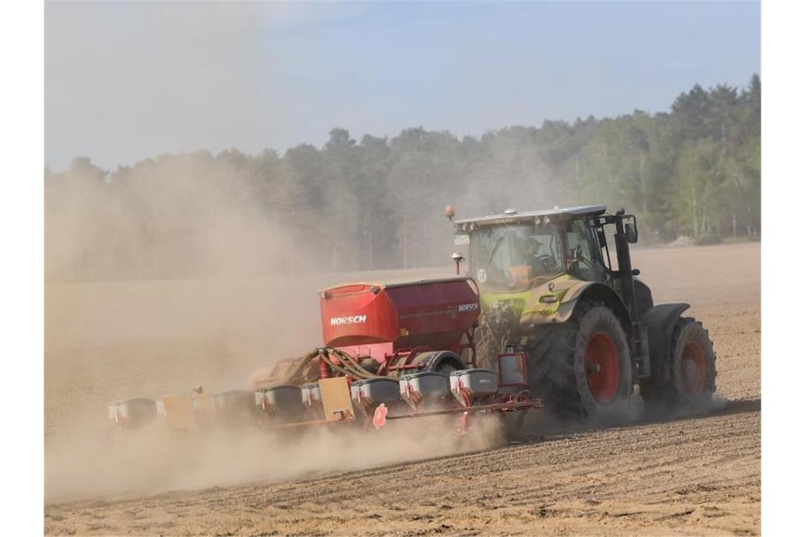 Studie: Klimawandel macht neue Nutzpflanzen-Sorten notwendig Trockener Ackerboden in Brandenburg. Foto: Patrick Pleul/dpa-Zentralbild/ZB