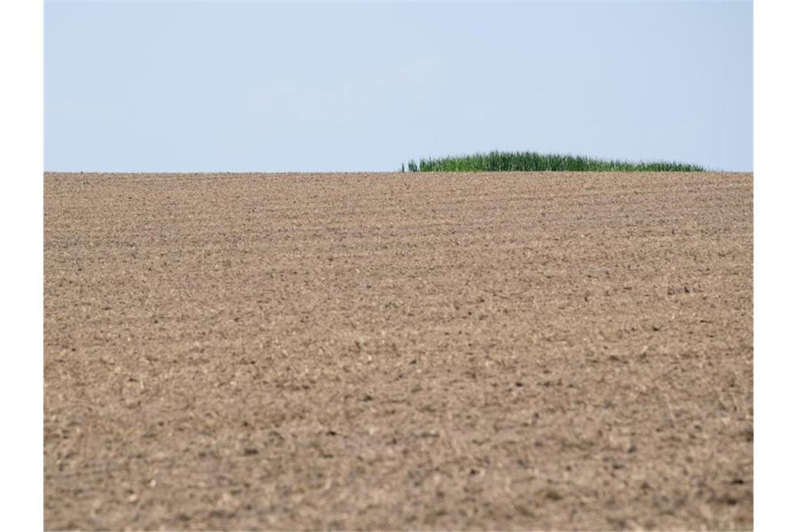 Trockener Ackerboden ist auf einem Feld zu sehen. Foto: Sven Hoppe/Archivbild