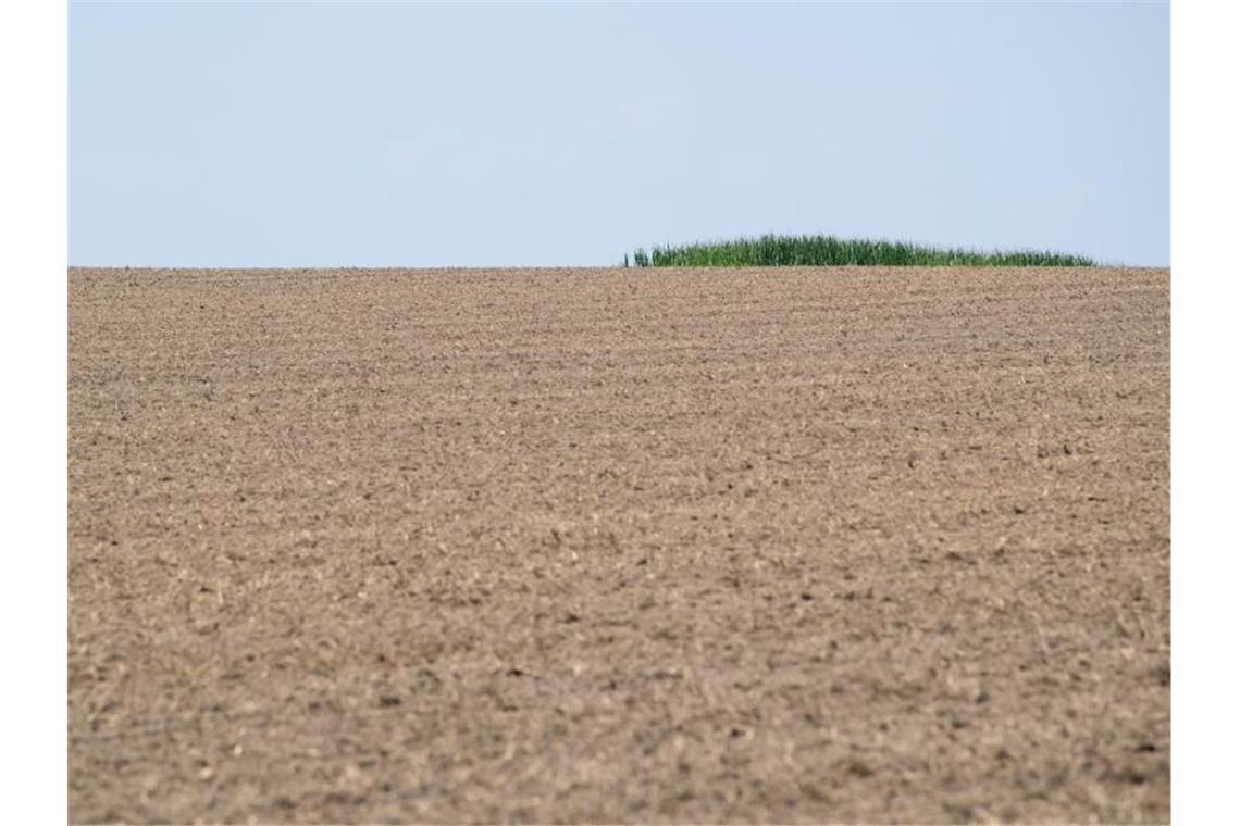 Südländer fordern besseren Schutz von Bauern vor Klimawandel Trockener Ackerboden ist auf einem Feld zu sehen. Foto: Sven Hoppe/Archivbild
