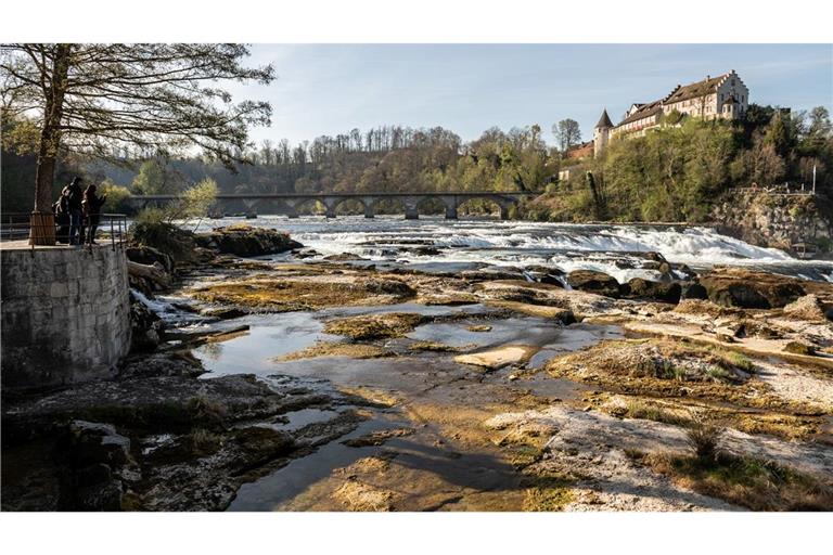 Trockenheit: Normalerweise beeindruckt der Rheinfall bei Schaffhausen in der Schweiz mit tobenden Wassermassen. Jetzt liegen hier die Steine trocken, weil es seit Wochen nur ganz wenig geregnet hat.