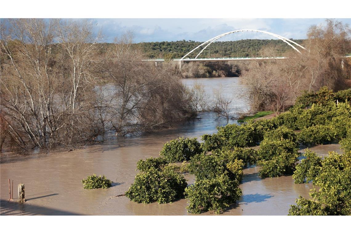 Trotz einer leichten Wetterbesserung am Freitag traten viele Flüsse im südspanischen Andalusien wie hier der  Guadalquivir über die Ufer.