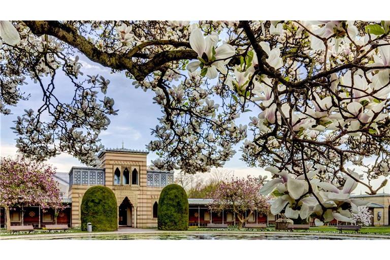 Trotz milder Temperaturen drohen örtlich im Land auch Sturmböen.