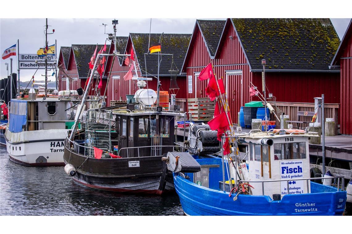 Kaum neue Einschränkungen für Ostsee-Fischer - Backhaus froh Kaum neue Einschränkungen für Ostsee-Fischer - Backhaus froh