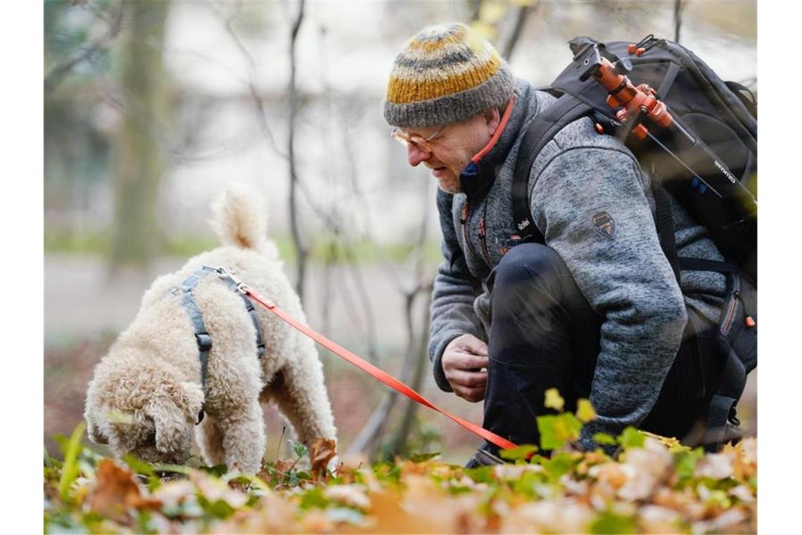 Trüffelhund Snoopy und Peter Karasch im Schlossgarten am Schwetzinger Schloss. Foto: Uwe Anspach/dpa