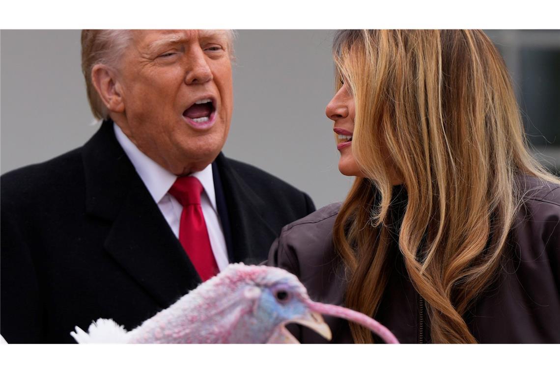 Trump begnadigt Truthahn vor Thanksgiving.