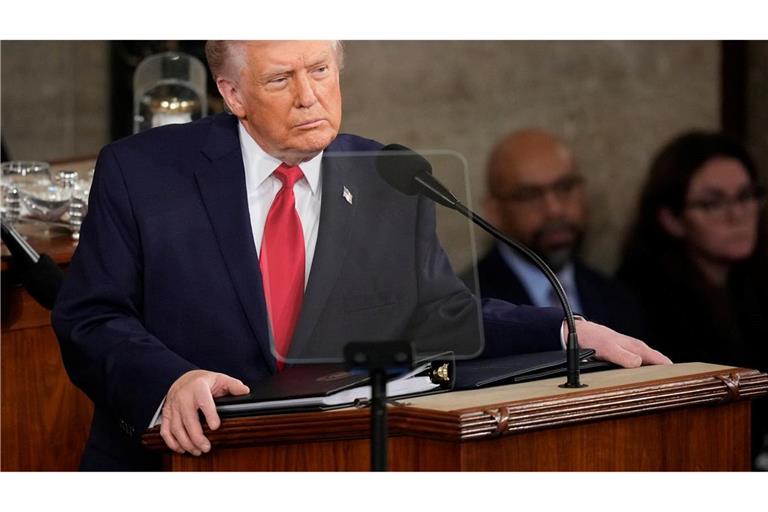 Trump macht die Demokraten für die Haushaltsblockade verantwortlich, die das Heimatschutzministerium betrifft.