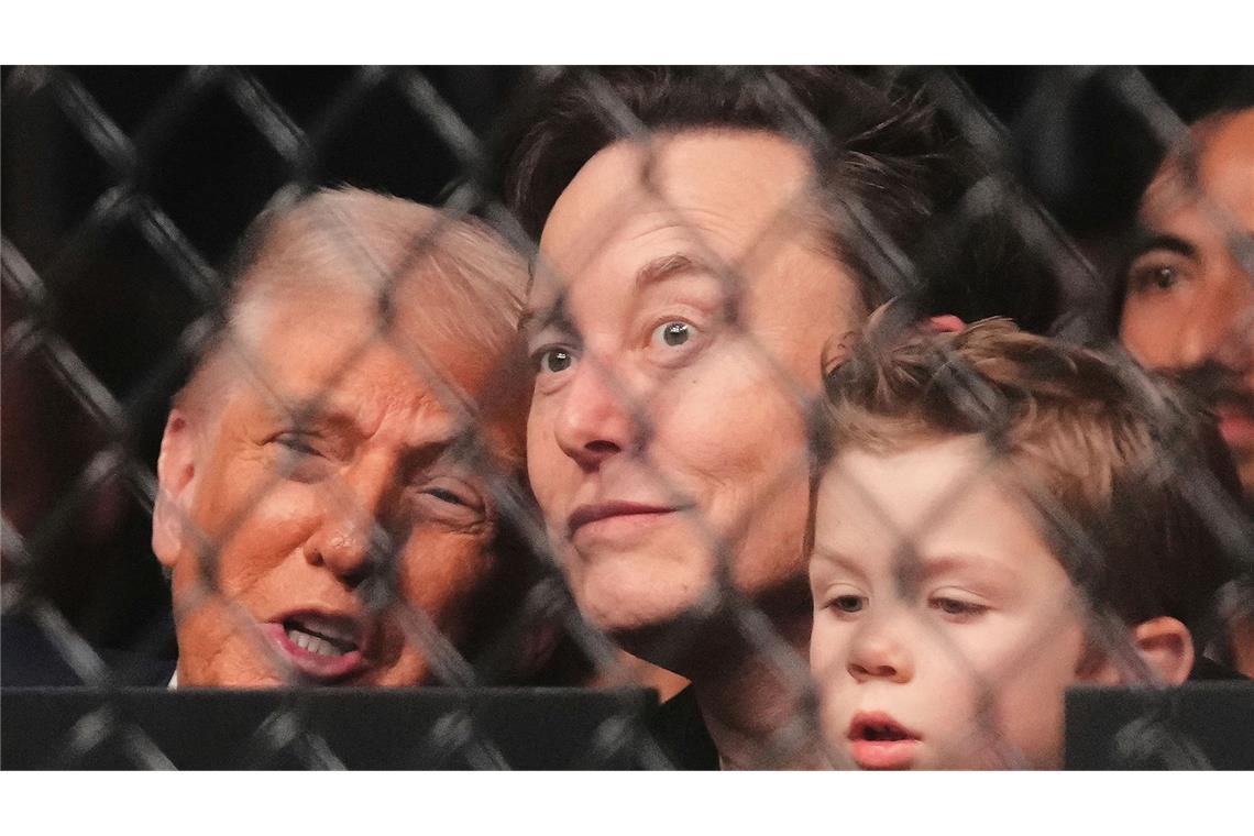 Trump, Musk mit 4 Jahre altem Sohn bei Kampfsport-Spektakel