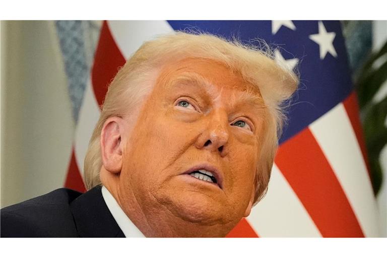 Trump rief seine Parteikollegen auf, sich hinter dem "großen, schönen Gesetz" zu vereinen - doch das blieb ohne Erfolg. (Archivbild)