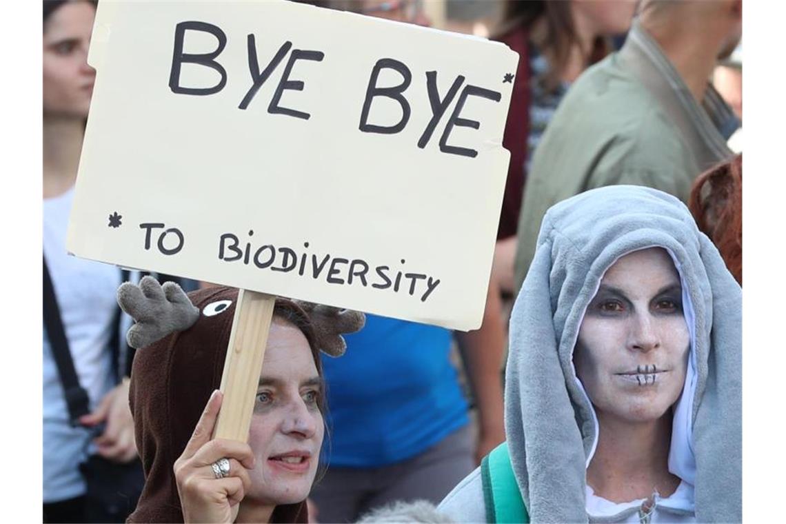 „Tschüss Artenvielfalt“: Demonstranten in Brüssel. Foto: Benoit Doppagne/BELGA