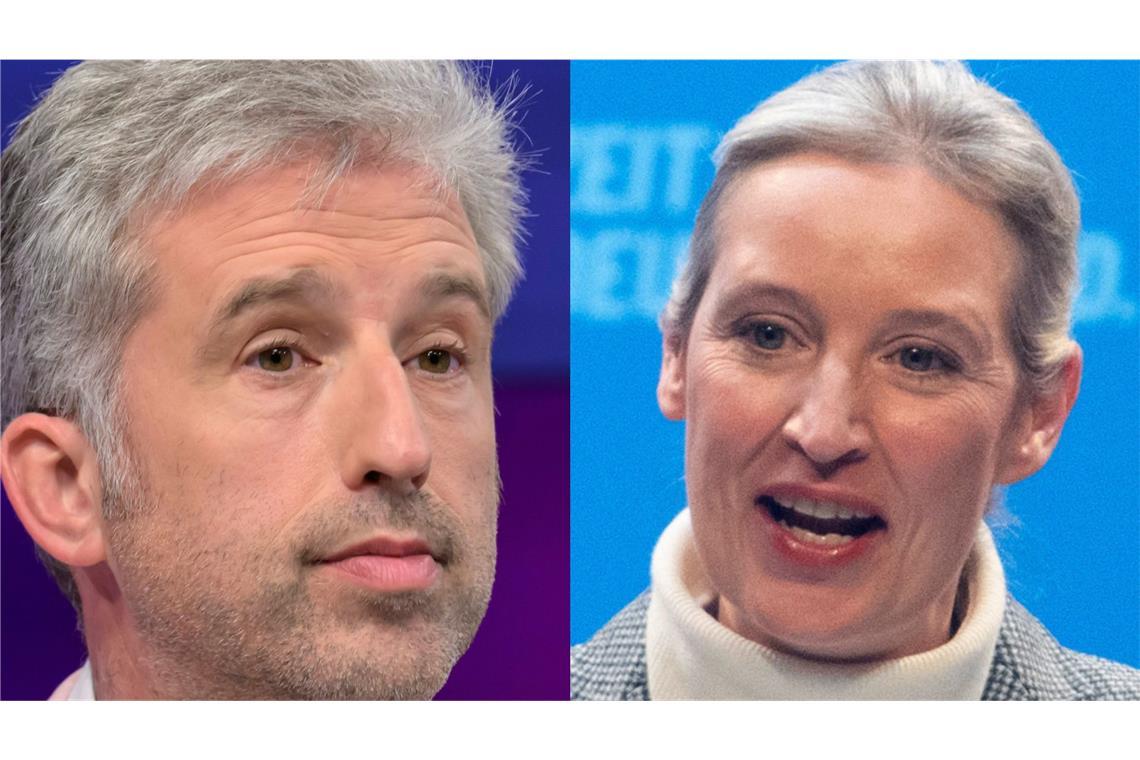 Boris Palmer zeigt Alice Weidel im Profilbild – und zerpflückt das AfD-Programm Tübingens OB Boris Palmer zeigt in seinem Facebook-Profilbild die AfD-Parteichefin Alice Weidel.