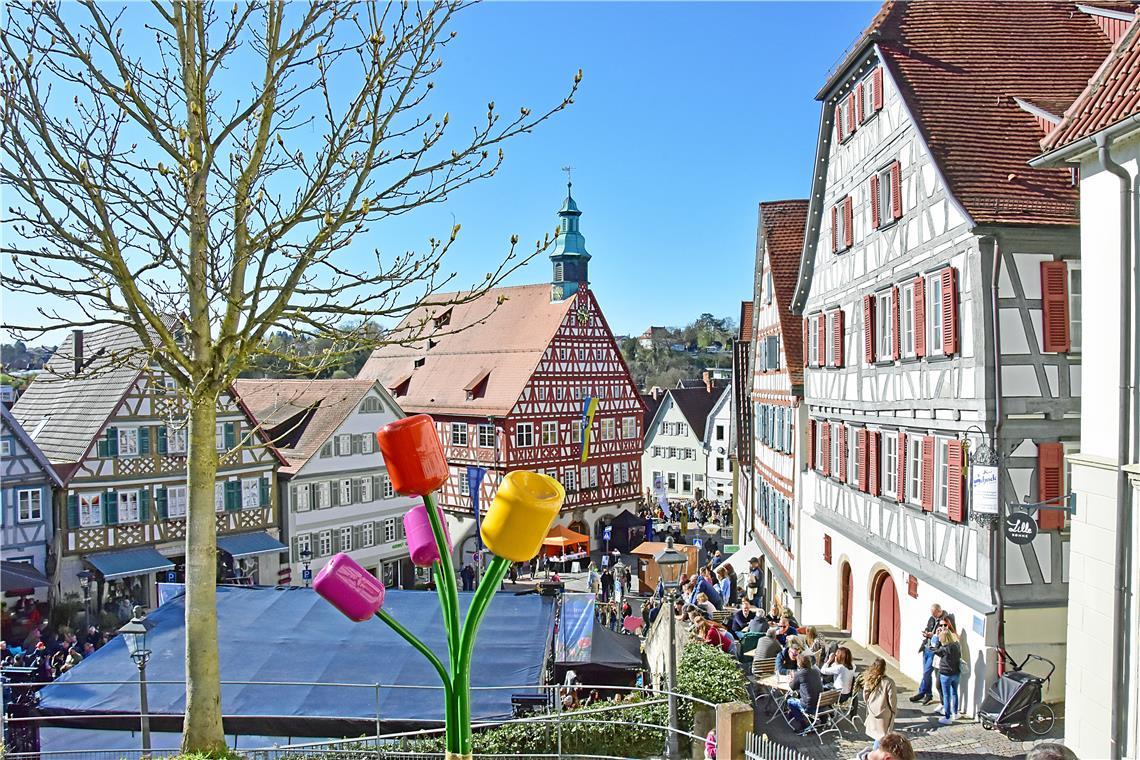 Tulpenfrühling in Backnang 2025.