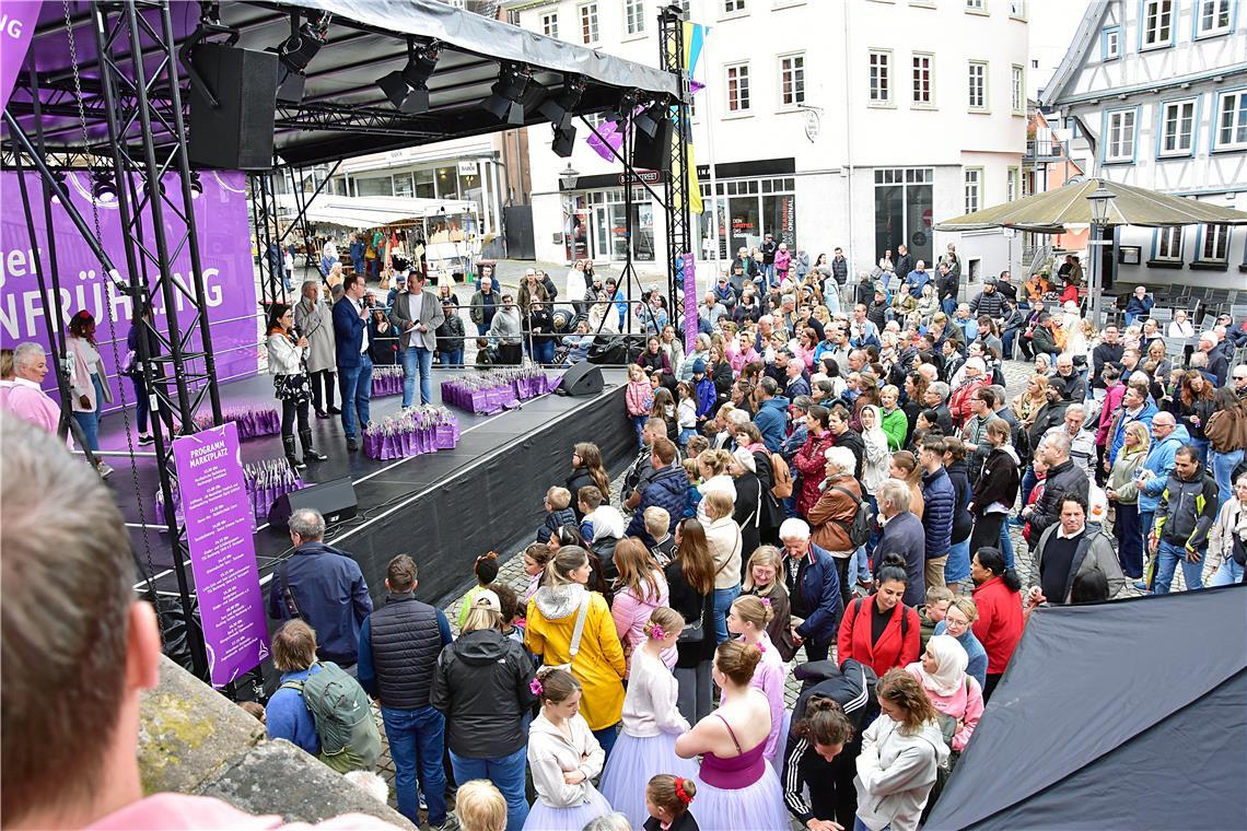 Tulpenfrühling in Backnang 2026. SK