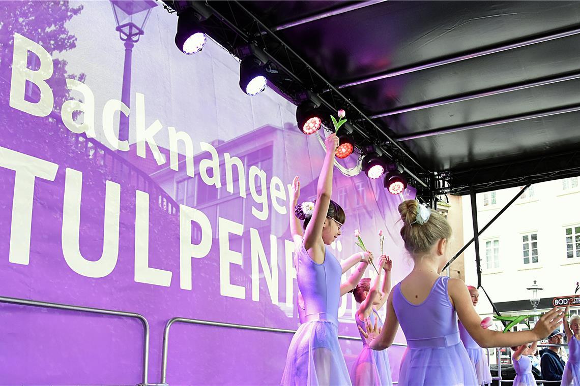 Tulpenfrühling in Backnang 2026. SK