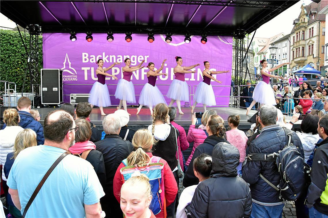 Tulpenfrühling in Backnang 2026. SK