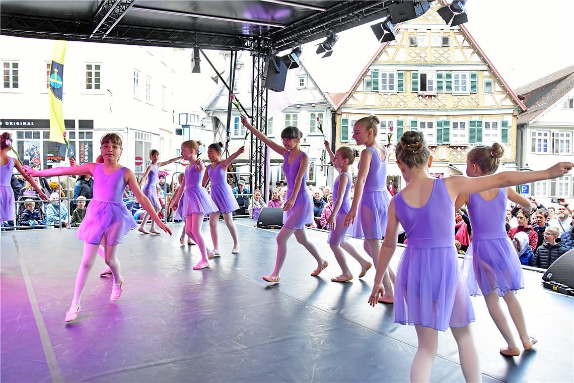 Tulpenfrühling in Backnang 2026. SK