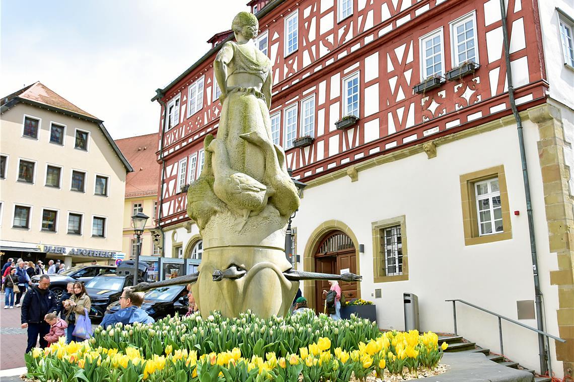Tulpenfrühling in Backnang 2026. SK