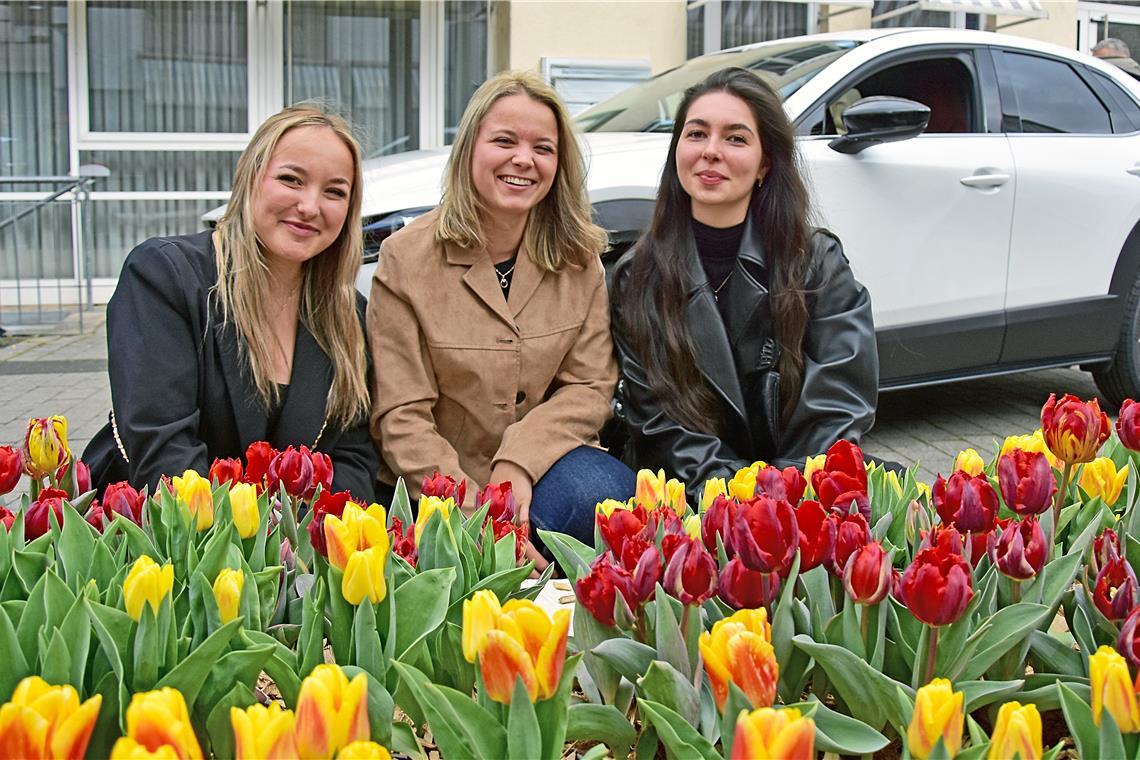 Tulpenfrühling in Backnang 2026. SK