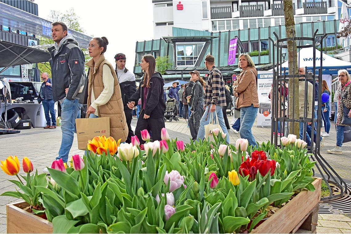 Tulpenfrühling in Backnang 2026. SK