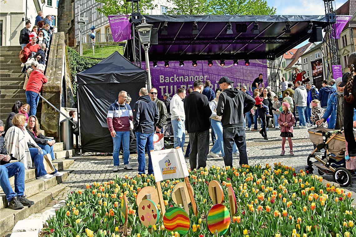 Tulpenfrühling in Backnang 2026. SK
