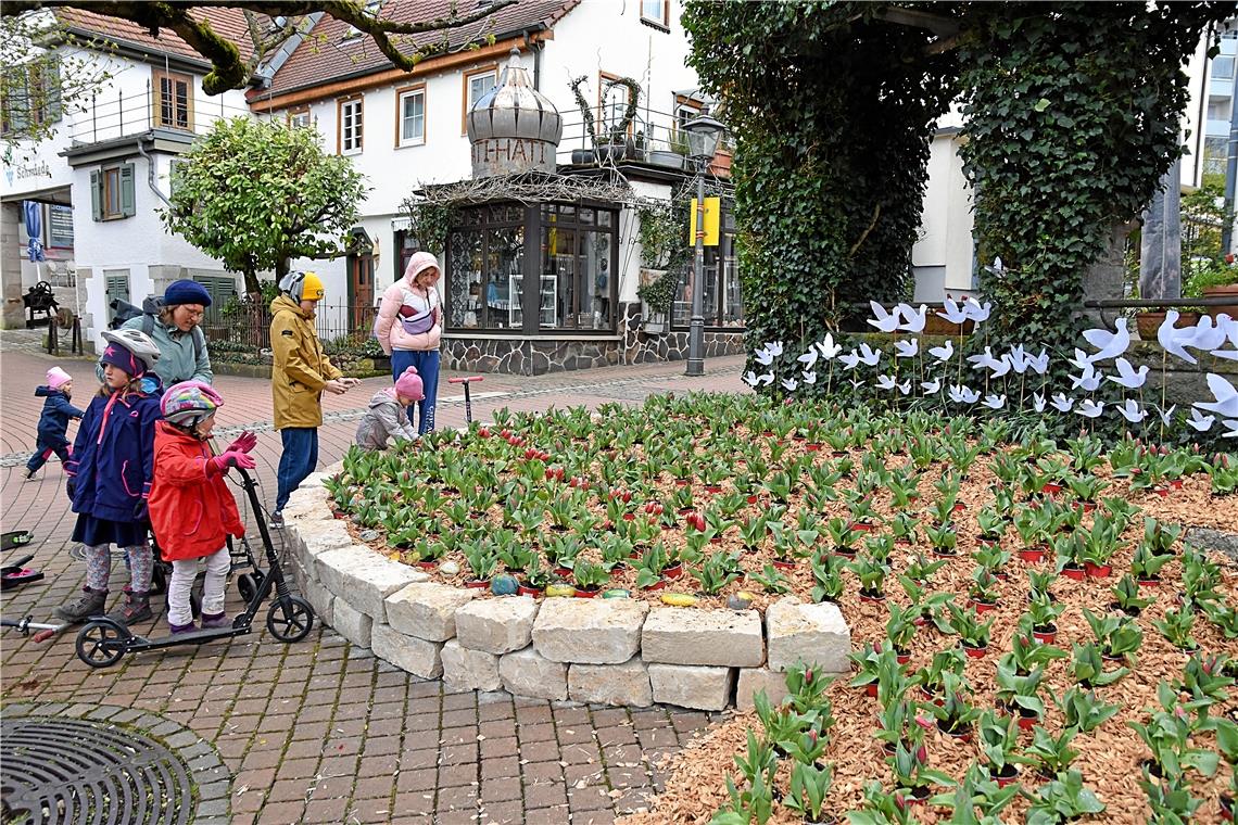 Tulpenfrühling in Backnang.