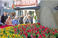 Tulpenmeer am Gänsebrunnen. Foto: T. Sellmaier
