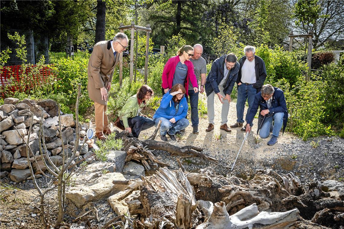 Udo Weisshaar, Edith Reihle, Anja McGrath, Antja Schosser, Peter Kreuttle, Tobias Großmann, Frank Ehret und Carsten Heimann (von links) begutachten den neu angelegten Tausendartengarten an der Tausschule. Foto: Alexander Becher