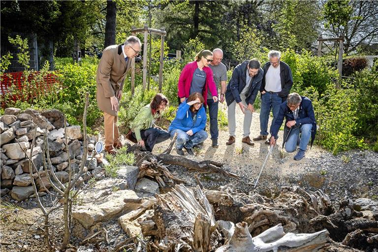 Udo Weisshaar, Edith Reihle, Anja McGrath, Antja Schosser, Peter Kreuttle, Tobias Großmann, Frank Ehret und Carsten Heimann (von links) begutachten den neu angelegten Tausendartengarten an der Tausschule. Foto: Alexander Becher