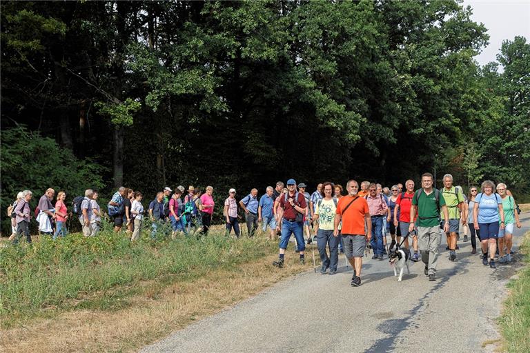Über 50 begeisterte Wanderer sind am Freitag in Großerlach mitgewandert, hier auf dem Wiedhofweg. Fotos: Jörg Fiedler
