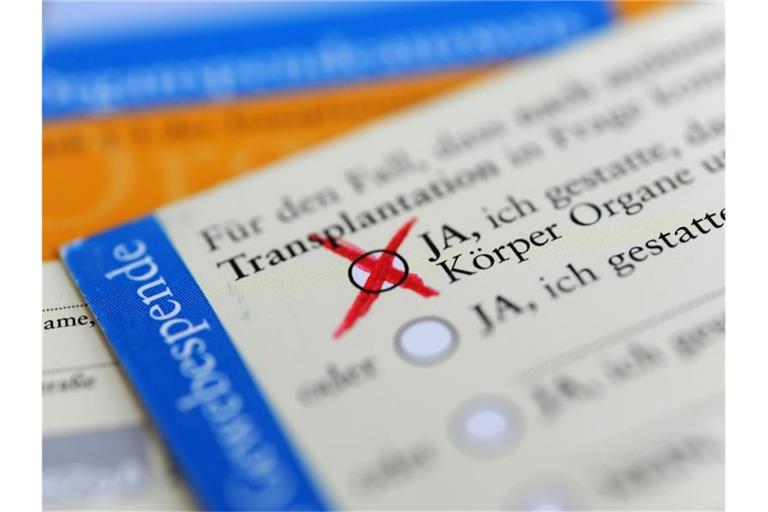 Über das Organspendesystem in Deutschland wird viel debattiert. Foto: Marie Reichenbach