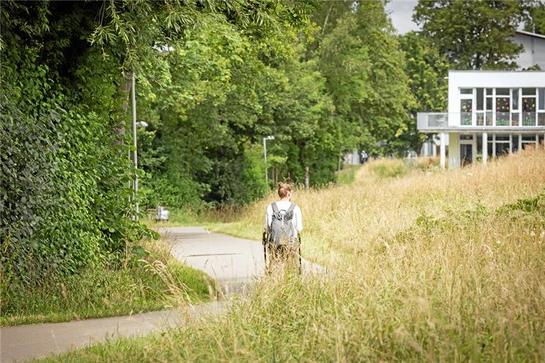 Über die Weißach-Aue gelangt Frischluft von den Hängen zwischen Unterweissach und Aichholzhof bis in die Ortsmitte. Foto: Alexander Becher