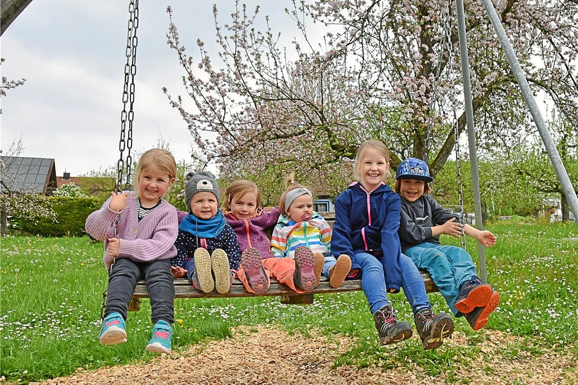 Über die XXL-Schaukel freuten sich gestern viele Kinder in Rietenau.