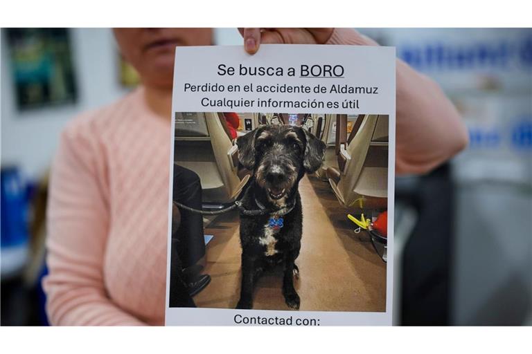 Über diese Familienzusammenführung freut sich ganz Spanien.