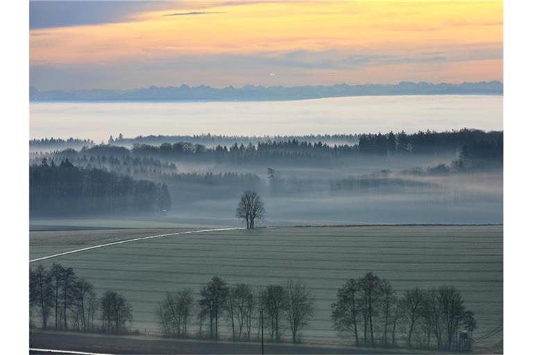 Über Felder, Bäume und ein Nebelmeer geht der Blick von Erstetten, bei Blaubeuren, aus auf die Alpen. Foto: Ralf Zwiebler/dpa/Archivbild