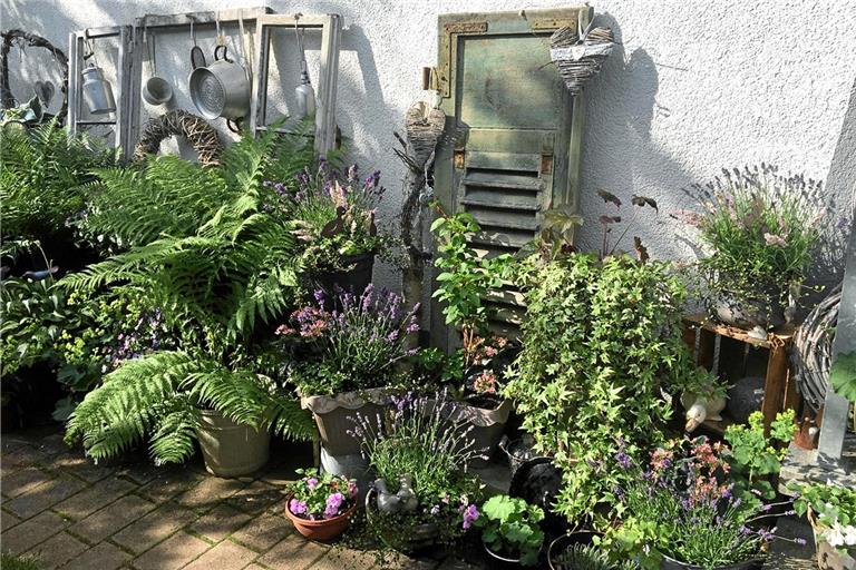 Überall in Backnang grünte und blühte es 2020 – so auch im Garten von Esther Pilich. Foto: E. Pilich