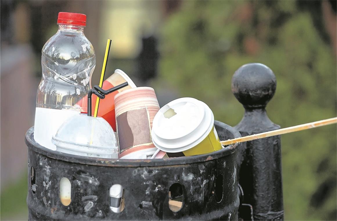 Überquellende Mülleimer mit Plastik machten die jungen Frauen besonders wütend.Foto: Fotolia